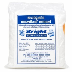Bright Washing Soap Making Kit