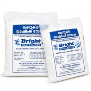 Bright Washing Soap Making Kit