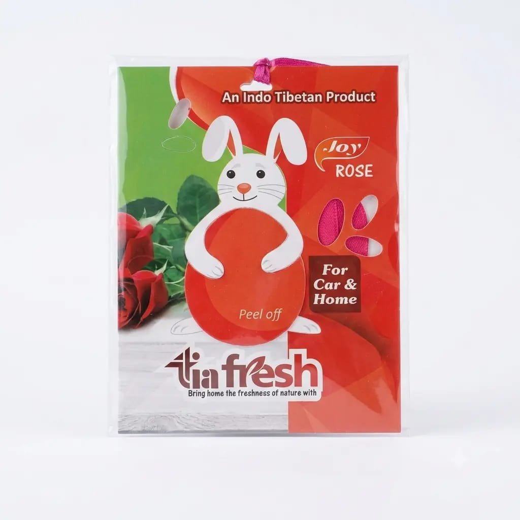 Car Air freshener