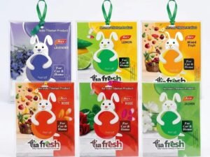 Car Air freshener