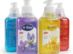 N Shine 2 in 1 Hand Wash Combo 600ml